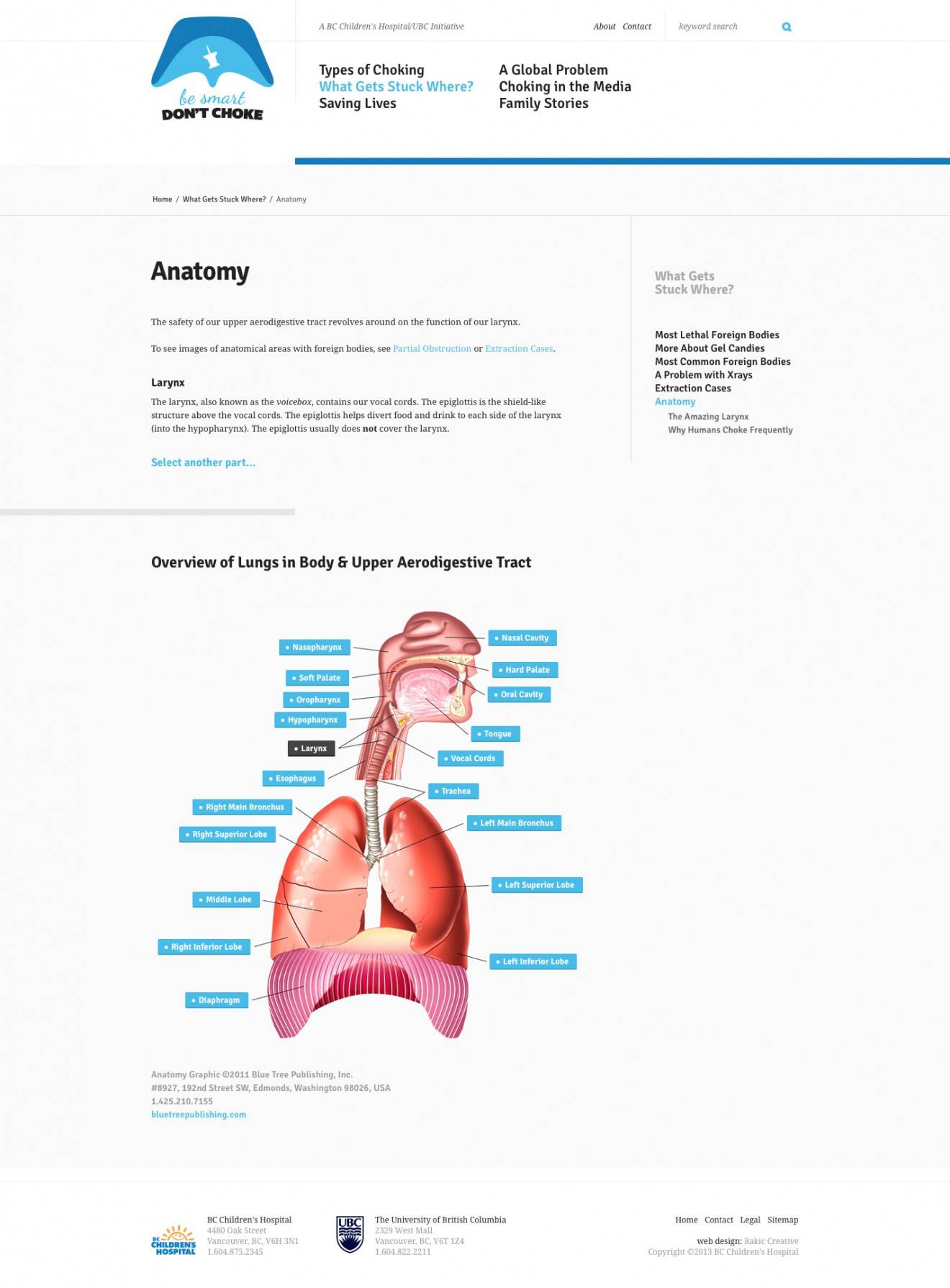 Interactive Anatomy Page